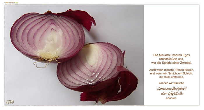 EGO - Die Mauern unseres Egos umschließen uns, wie die Schale einer Zwiebel. Auch wenn manche Tränen fließen, erst wenn wir, Schicht um Schicht, die Hülle entfernen, können wir wirkliche Grenzenlosigkeit der Gefühle erfahren