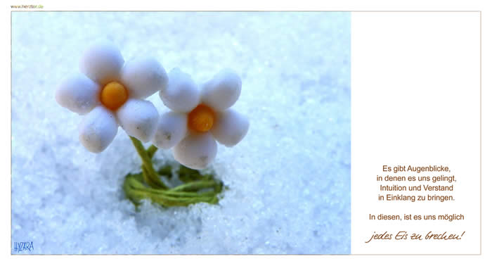 Eiszeit - Es gibt Augenblicke in denen es uns gelingt Intuition und Verstand in Einklang zu bringen. In diesen, ist es uns möglich jedes Eis zu brechen!