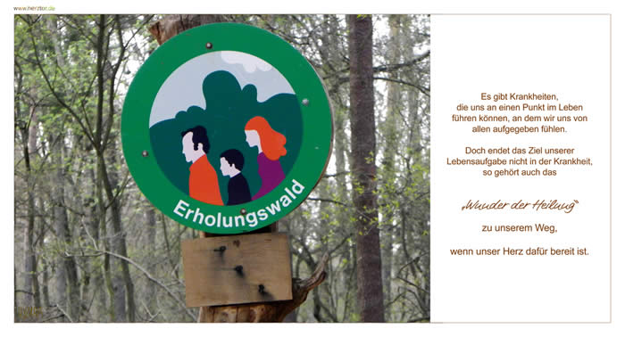 Erholung - Es gibt Krankheiten, die uns an einen Punkt im Leben führen können, an dem wir uns von allen aufgegeben fühlen. Doch endet das Ziel unserer Lebensaufgabe nicht in der Krankheit, so gehört auch das „Wunder der Heilung“ zu unserem Weg, wenn unser Herz dafür bereit ist.