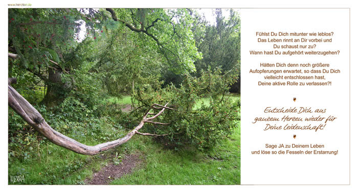 Fühlst Du Dich mitunter wie leblos? Das Leben rinnt an Dir vorbei und Du schaust nur zu? Wann hast Du aufgehört weiterzugehen? Hätten Dich denn noch größere Aufopferungen erwartet, so dass Du Dich vielleicht entschlossen hast, Deine aktive Rolle zu verlassen?! Entscheide Dich aus ganzem Herzen wieder für Deine Leidenschaft! Sage JA zu Deinem Leben und löse so die Fesseln der Erstarrung! Erstarrung