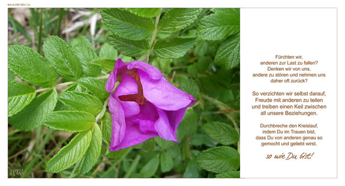 Falsche Bescheidenheit - Fürchten wir, anderen zur Last zu fallen? Denken wir von uns, andere zu stören und nehmen uns daher oft zurück? So verzichten wir selbst darauf, Freude mit anderen zu teilen und treiben einen Keil zwischen all unsere Beziehungen. Durchbreche den Kreislauf, indem Du im Trauen bist, dass Du von anderen genau so gemocht und geliebt wirst, wie Du bist!