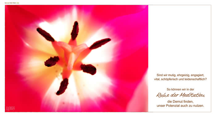 Feuer und Flamme - Sind wir mutig, ehrgeizig, engagiert, vital, schöpferisch und leidenschaftlich So können wir in der Ruhe der Meditation die Demut finden, unser Potenzial auch zu nutzen.