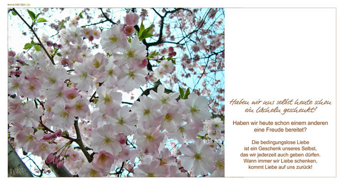 Freude teilen - Haben wir uns selbst heute schon ein Lächeln geschenkt? Haben wir heute schon einem anderen eine Freude bereitet? Die bedingungslose Liebe ist ein Geschenk unseres Selbst, das wir jederzeit auch geben dürfen. Wann immer wir Liebe schenken, kommt Liebe auf uns zurück!