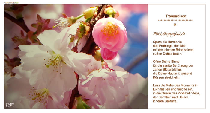 Frühlingsgefühle, Spüre die Harmonie des Frühlings, der Dich mit der leichten Brise seines süßen Duftes betört. Öffne Deine Sinne für die sanfte Berührung der zarten Blütenblätter, die Deine Haut mit tausend Küssen streicheln. Lass die Ruhe des Moments in Dich fließen und tauche ein, in die Quelle des Wohlbefindens, der Sanftheit und Deiner inneren Balance. TRAUMREISEN