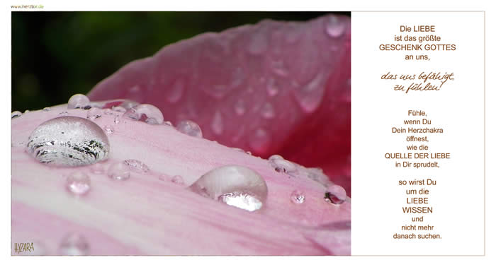 Fühlen - Die LIEBE ist das größte GESCHENK GOTTES an uns, das uns befähigt, zu fühlen! Fühle, wenn Du Dein Herzchakra öffnest, wie die QUELLE DER LIEBE in Dir sprudelt, so wirst Du um die LIEBE WISSEN und nicht mehr danach suchen. 