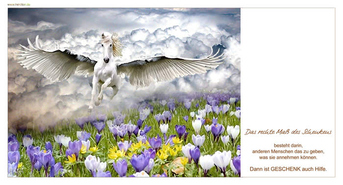 Geschenke des Herzens - Das rechte Maß des Schenkens besteht darin, anderen Menschen das zu geben, was sie auch annehemen können. Dann ist GESCHENK auch Hilfe.