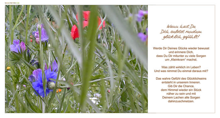 Glücklichsein - Wann hast Du Dich zuletzt rundum glücklich gefühlt? Werde Dir Deines Glücks wieder bewusst und erinnere Dich, dass Du Dir mitunter zu viele Sorgen um „Kleinkram“ machst. Was zählt wirklich im Leben? Und was nimmst Du einmal daraus mit? Das wahre Gefühl des Glücklichseins entsteht in unserem Inneren. Gib Dir die Chance, dem Himmel wieder ein Stück näher zu sein und mit Deinem Lachen alle Sorgen dahinzuschmelzen