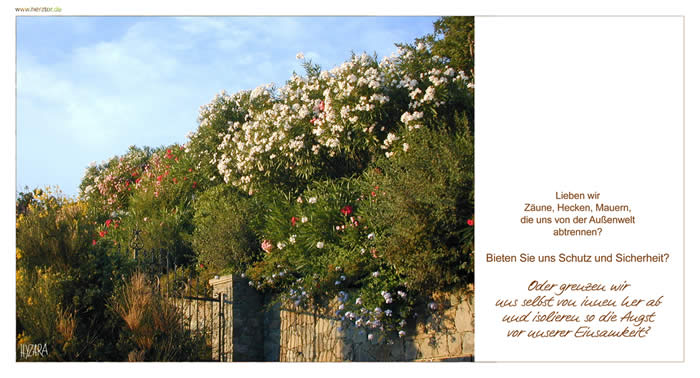 Abgrenzungen - Lieben wir Zäune, Hecken, Mauern, die uns von der Außenwelt abtrennen? Bieten Sie uns Schutz und Sicherheit? Oder grenzen wir uns selbst von innen her ab und isolieren so die Angst vor unserer Einsamkeit? 