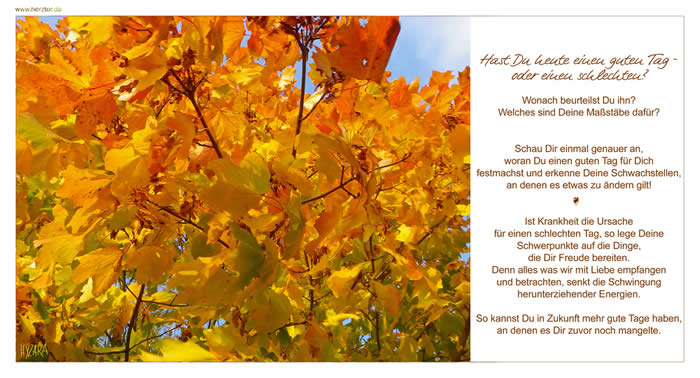 Hast Du heute einen guten Tag - oder einen schlechten? Wonach beurteilst Du ihn? Welches sind Deine Maßstäbe dafür? Schau Dir einmal genauer an, woran Du einen guten Tag für Dich festmachst und erkenne Deine Schwachstellen, an denen es etwas zu ändern gilt! Ist Krankheit die Ursache für einen schlechten Tag, so lege Deine Schwerpunkte auf die Dinge, die Dir Freude bereiten. Denn alles was wir mit Liebe empfangen und betrachten, senkt die Schwingung herunterziehender Energien. So kannst Du in Zukunft mehr gute Tage haben, an denen es Dir zuvor noch mangelte. gute Tage - schlechte Tage