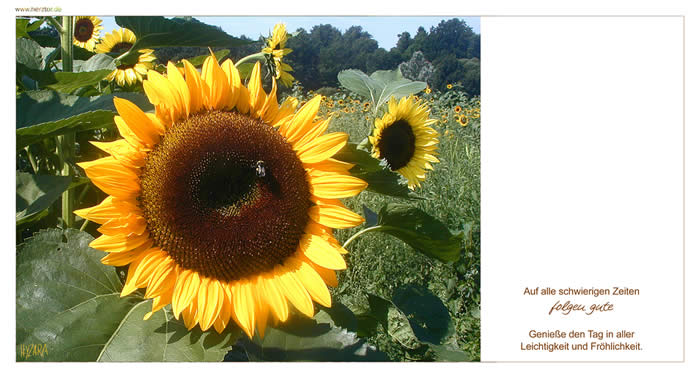 Gute Zeiten - Auf alle schwierigen Zeiten folgen gute. Genieße den Tag in aller Leichtigkeit und Fröhlichkeit.