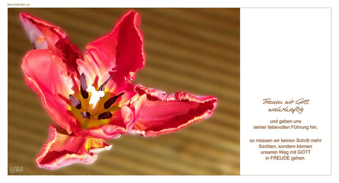 Hingabe - Trauen wir GOTT wahrhaftig und geben uns seiner liebevollen Führung hin, so müssen wir einen Schritt mehr fürchten, sondern können unseren Weg mit GOTT in FREUDE gehen.