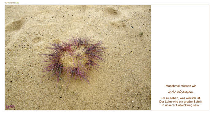 9. Hinschauen - Manchmal müssen wir hinschauen, um zu sehen, was wirklich ist. Der Lohn wird ein großer Schritt in unserer Entwicklung sein.