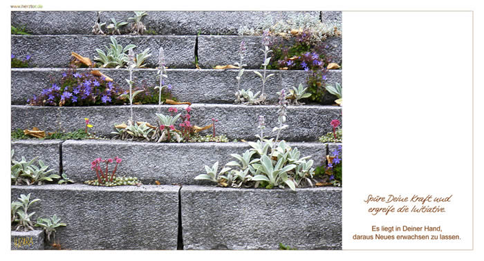 Initiative - Spüre Deine Kraft und ergreife die Initiative. Es liegt in Deiner Hand, daraus Neues erwachsen zu lassen.