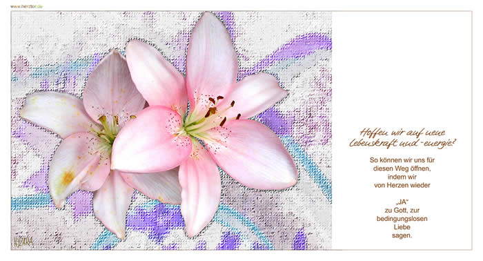 . JA - Hoffen wir auf neue Lebenskraft und -energie? So können wir uns für diesen Weg öffnen, indem wir von Herzen wieder "Ja" zu Gott, zur bedingungslosen Liebe sagen.