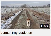 Januar Impressionen youtube Film von HERZTOR