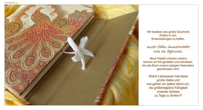 Kapitel unseres Lebens - Wir besitzen das große Geschenk Gottes in uns, Entscheidungen zu treffen, unser Leben immer wieder neu zu beginnen. Neue Kapitel unseres Lebens können wir frei gestalten und schreiben, bis das Buch unserer jetzigen Inkarnation geschlossen wird. Welch Lebewesen hat diese große Gabe und wie gehen wir selbst damit um, die größtmögliche Fähigkeit unseres Geistes zu Tage zu förden?