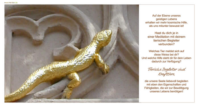 Krafttiere und Tierische Begleiter- Auf der Ebene unseres geistigen Lebens erhalten wir mehr kosmische Hilfe, als uns mitunter bewusst ist! Hast du dich je in einer Meditation mit  deinem tierischen Begleiter verbunden? Welches Tier meldet sich auf diese Weise bei dir? Und welche Hilfe steht dir für dein Leben dadurch  zur Verfügung? Tierische Begleiter sind Krafttiere, die unsere Seele  liebevoll begleiten mit eben den Eigenschaften und Fähigkeiten,  die wir zur Bewältigung unseres Lebens benötigen!