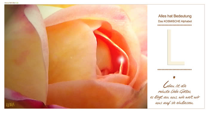 Leben ist die reinste Liebe Gottes, es liegt an uns, wie weit wir uns auf sie einlassen. So wie auch beim Buchstaben "E" besitzt das "L" eine Querlinie unten. Diese Linie steht für die IRDISCHE Ebene! Es spiegelt die körperliche Ebene des Seins wieder. Mit HIMMLISCHER KRAFT, von oben kommend, mit LICHT (allem KOSMISCHEN WISSEN) und LIEBE gehst Du Deinen irdischen WEG des Lebens. Das "L" symbolisiert alle HILFE des HIMMELS für alles Iridische und Körperliche.  L - Das KOSMISCHE Alphabet