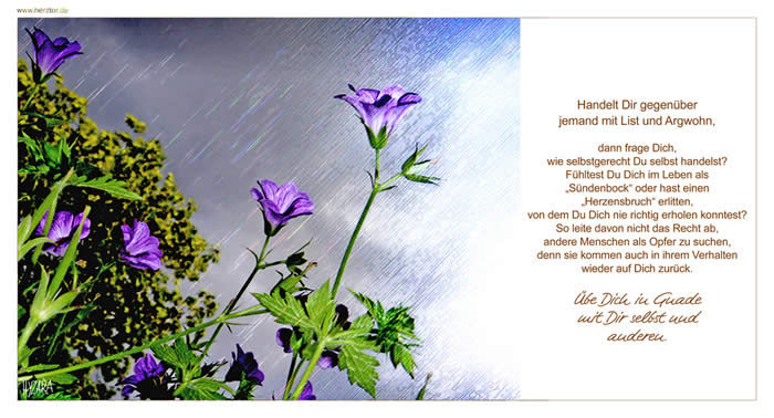 Handelt Dir gegenüber jemand mit List und Argwohn, dann frage Dich, wie selbstgerecht Du selbst handelst? Fühltest Du Dich im Leben als „Sündenbock“ oder hast einen „Herzensbruch“ erlitten, von dem Du Dich nie richtig erholen konntest? So leite davon nicht das Recht ab, andere Menschen als Opfer zu suchen, denn sie kommen auch in ihrem Verhalten wieder auf Dich zurück. Übe Dich in Gnade mit Dir selbst und anderen. Lass Gnade walten