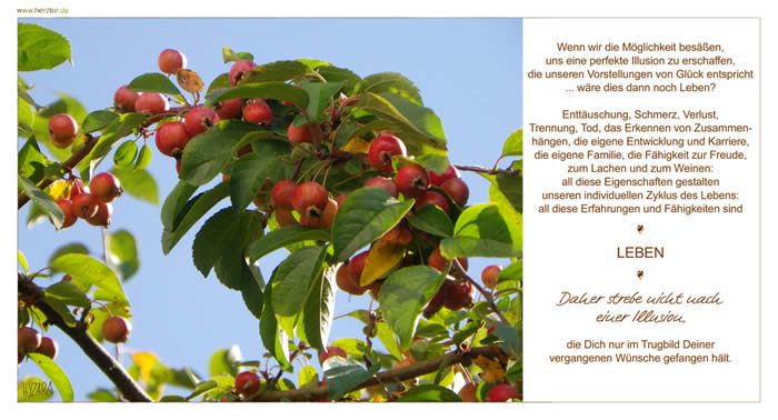 Wenn wir die Möglichkeit besäßen, uns eine perfekte Illusion zu erschaffen, die unseren Vorstellungen von Glück entspricht ... wäre dies dann noch Leben? Enttäuschung, Schmerz, Verlust, Trennung, Tod, das Erkennen von Zusammenhängen, die eigene Entwicklung und Karriere, die eigene Familie, die Fähigkeit zur Freude, zum Lachen und zum Weinen: all diese Eigenschaften gestalten unseren individuellen Zyklus des Lebens: all diese Erfahrungen und Fähigkeiten sind LEBEN. Daher strebe nicht nach einer Illusion, die Dich nur im Trugbild Deiner vergangenen Wünsche gefangen hält. Leben