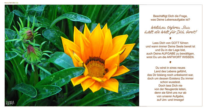 Beschäftigt Dich die Frage, was Deine Lebensaufgabe ist? Welchen tieferen Sinn hält die Welt für Dich bereit? Lass Dich von GOTT führen und wann immer Deine Seele bereit ist und Du in der Lage bist, auch Deine AUFGABE zu bewältigen, wirst Du um die ANTWORT WISSEN. Du wirst in eines neues Land des Lebens geführt, das Dir bislang noch unbekannt war, doch um dessen Existenz Du immer schon wusstest. Doch lass Dich nie von der Neugierde leiten, denn sie führt uns nur ab von unserer Aufgabe, auf Um- und Irrwege!