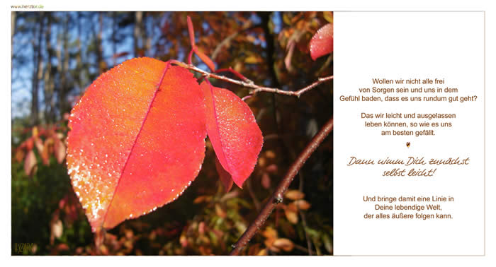 Wollen wir nicht alle frei von Sorgen sein und uns in dem Gefühl baden, dass es uns rundum gut geht? Das wir leicht und ausgelassen leben können, so wie es uns am besten gefällt. Dann nimm Dich zunächst selbst leicht! Und bringe damit eine Linie in Deine lebendige Welt, der alles äußere folgen kann. Leichtigkeit