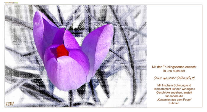 Mit der Frühlingssonne erwacht in uns auch der Lenz unserer Lebenslust. Mit frischem Schwung und Temperament können wir eigene Geschicke angehen, anstatt für andere die „Kastanien aus dem Feuer“zu holen.