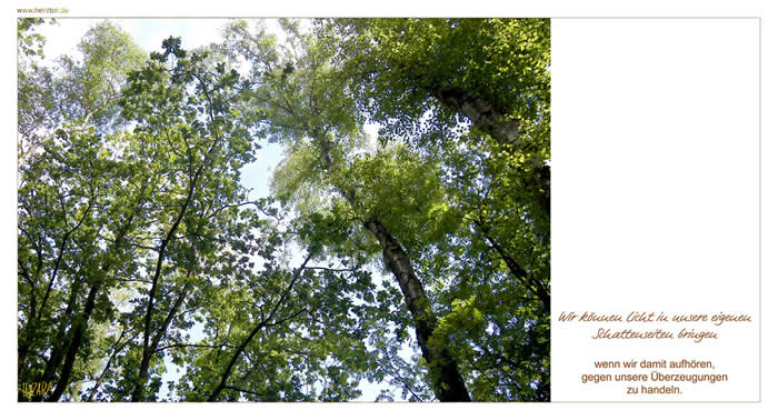 LICHT - Wir können Licht in unsere eigenen Schattenseiten bringen, wenn wir damit aufhören, gegen unsere Überzeugungen zu handeln.