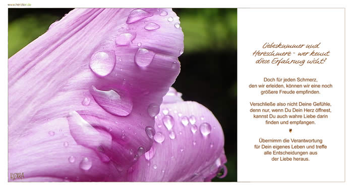 Liebeskummer lohnt sich nicht ... Liebeskummer und Herzschmerz - wer kennt diese Erfahrung nicht? Doch für jeden Schmerz, den wir erleiden, können wir eine noch größere Freude empfinden.  erschließe also nicht Deine Gefühle, denn nur, wenn Du Dein Herz öffnest, kannst Du auch wahre Liebe darin finden und empfangen. Übernimm die Verantwortung für Dein eigenes Leben und treffe alle Entscheidungen aus der Liebe heraus.