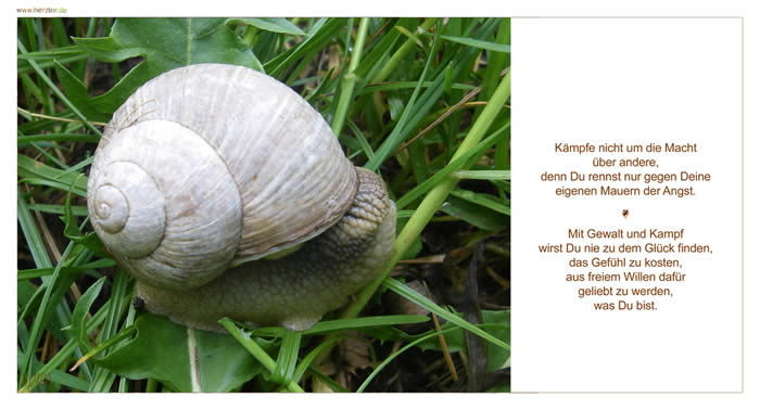 Kämpfe nicht um die Macht über andere, denn Du rennst nur gegen Deine eigenen Mauern der Angst. Mit Gewalt und Kampf wirst Du nie zu dem Glück finden, das Gefühl zu kosten, aus freiem Willen dafür geliebt zu werden, was Du bist. Machtkampf