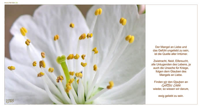 Mangel an Liebe - Der Mangel an Liebe und das Gefühl ungeliebt zu sein, ist die Quelle aller Irrtümer. Zwietracht, Neid, Eifersucht, alle Untugenden des Lebens, ja auch die Ursache für Kriege, folgen dem Glauben des Mangels an Liebe. Finden wir den Glauben an Gottes Liebe wieder, so wissen wir darum, ewig geliebt zu sein.