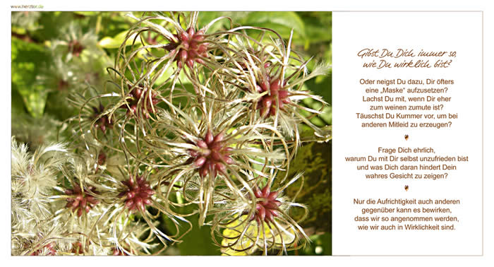 Gibst Du Dich immer so, wie Du wirklich bist? Oder neigst Du dazu, Dir öfters eine „Maske“ aufzusetzen? Lachst Du mit, wenn Dir eher zum weinen zumute ist? Täuschst Du Kummer vor, um bei anderen Mitleid zu erzeugen? Frage Dich ehrlich, warum Du mit Dir selbst unzufrieden bist und was Dich daran hindert Dein wahres Gesicht zu zeigen? Nur die Aufrichtigkeit auch anderen gegenüber kann es bewirken, dass wir so angenommen werden, wie wir auch in Wirklichkeit sind. Maskerade