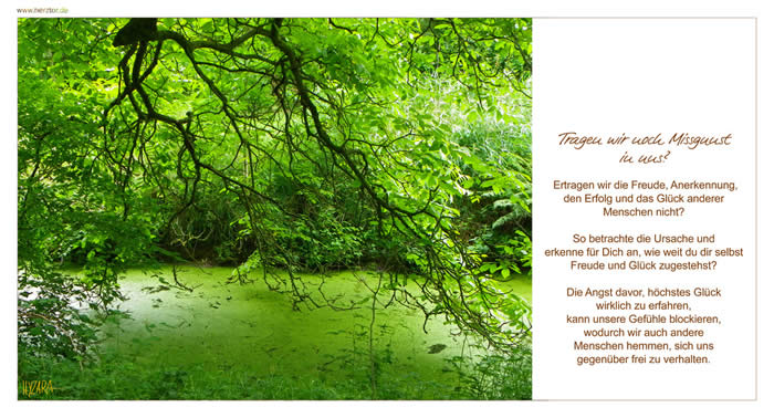 Missgunst - Tragen wir noch Missgunst in uns? Ertragen wir die Freude,  Anererkennung, den Erfolg und das Glück anderer Menschen nicht?  So betrachte die Ursache und erkenne für Dich an, wie weit du dir selbst Freude und Glück zugestehst? Die Angst davor, höchstes Glück wirklich  zu erfahren, kann unsere Gefühle blockieren, wodurch wir auch  andere Menschen hemmen, sich uns gegenüber frei zu verhalten.