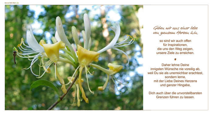 Mit Hingabe - Geben wir uns einer Idee von ganzem Herzen hin, so sind wir auch offen für Inspirationen, die uns den Weg zeigen, unsere Ziele zu erreichen. Daher lehne Deine innigsten Wünsche nie voreilig ab, weil Du sie als unerreichbar erachtest, sondern lerne, mit der Liebe Deines Herzens und ganzer Hingabe, Dich auch über die unvorstellbarsten Grenzen führen zu lassen. Mit Hingabe