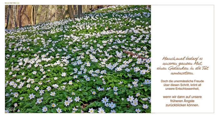 Mut - Manchmal bedarf es unseren ganzen Mut, einen Gedanken in die Tat umzusetzen. Doch die unermässliche Freude über diesen Schritt, krönt all unsere Entschlossenheit, wenn wir dann auf unsere früheren Ängste zurückblicken können.