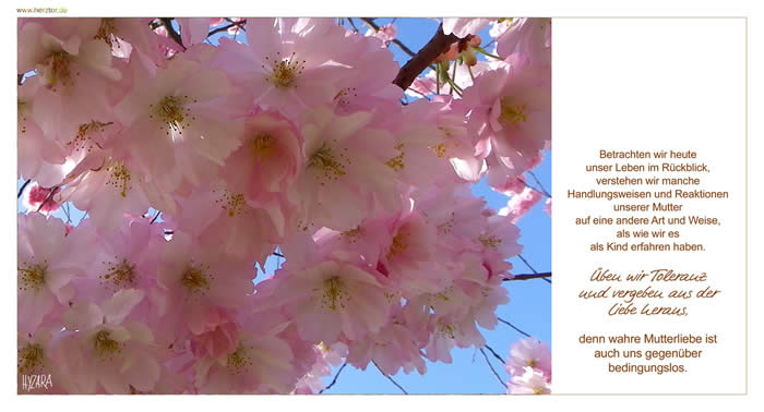 Mutterliebe - Betrachten wir heute unser Leben im Rückblick, verstehen wir manche Handlungsweisen und Reaktionen unserer Mutter auf eine andere Art und Weise, als wie wir es als Kind erfahren haben. Üben wir Toleranz und vergeben aus der Liebe heraus, denn wahre Mutterliebe ist auch uns gegenüber bedingungslos.