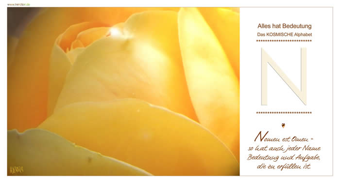 Nomen est Omen = so hat auch jeder Name Bedeutung und Aufgabe, die zu erfüllen ist. Wie der LICHTKEGEL des Buchstaben "A" erhalten wir das LICHT und die LIEBE GOTTES, das wir wie ein "V" zurückgeben an GOTT und alles von GOTT erschaffene LEBEN. So wie ein "A" und "V" sich nebeneinander zum "N" vereinen, kann man auch zwei Buchstaben "V", (wovon das erste umgekehrt ist), zum "N" zusammenfügen . GEBEN und NEHMEN sind im EINKLANG und in EINHEIT gebracht. Sei selbst frei von WERTUNG und URTEIL! Jeder von uns besitzt seinen KOSMISCHEN NAMEN, mit IHM verbinden wir unsere SEELENAUFGABE. Wie erfahren ihn, wenn unsere SEELE BEREIT ist, diesen WEG zu gehen und zu ERFÜLLEN. N - Das KOSMISCHE Alphabet