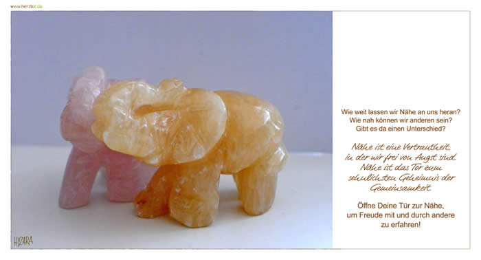 Nähe - Wie weit lassen wir Nähe an uns heran? Wie nah können wir anderen sein? Gibt es da einen Unterschied? Nähe ist eine Vertrautheit, in der wir frei von Angst sind. Nähe ist das Tor zum sehnlichsten Geheimnis der Gemeinsamkeit. Öffne Deine Tür zur Nähe, um Freude mit und durch andere zu erfahren