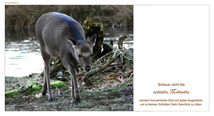 8. Neues - Scheue nicht die neuen Themen, sondern konzentriere Dich auf jeden Augenblick, um in kleinen Schritten Dein Geschick zu üben.