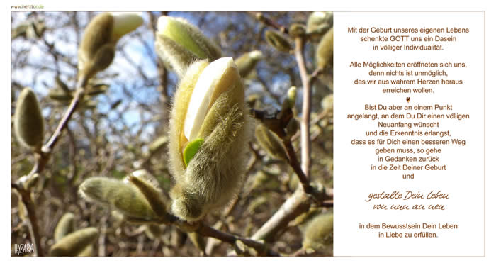 Mit der Geburt unseres eigenen Lebens schenkte GOTT uns ein Dasein in völliger Individualität. Alle Möglichkeiten eröffneten sich uns, denn nichts ist unmöglich, das wir aus wahrem Herzen heraus erreichen wollen. Bist Du aber an einem Punkt angelangt, an dem Du Dir einen völligen Neuanfang wünscht und die Erkenntnis erlangst, dass es für Dich einen besseren Weg geben muss, so gehe in Gedanken zurück in die Zeit Deiner Geburt und gestalte Dein Leben von nun an neu in dem Bewusstsein Dein Leben in Liebe zu erfüllen. Neustart