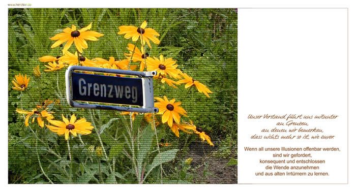 Niederlagen - Unser Verstand führt uns mitunter an Grenzen, an denen wir bemerken, dass nichts mehr so ist, wie zuvor. Wenn all unsere Illusionen offenbar werden, sind wir gefordert, konsequent und entschlossen die Wende anzunehmen und aus alten Irrtümern zu lernen.