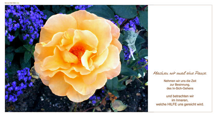 Machen wir mal eine Pause. Nehmen wir uns die Zeit zur Besinnung, des In-Sich-Gehens und betrachten wir im Inneren, welche HILFE uns gereicht wird.