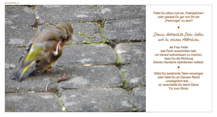 Trittst Du öfters mal ins „Fettnäpfchen“ oder glaubst Du gar von Dir ein „Pechvogel“ zu sein? Dann betrachte Dein Leben wie in einem Märchen, als Frau Holle das Pech ausschütten ließ, um darauf aufmerksam zu machen, dass Du die Richtung Deines Handelns überdenken solltest. Willst Du bestimmte Taten erzwingen oder hälst Du an Deinem Recht unweigerlich fest ... so verschließt Du damit Deine Tür zum Glück. Pech gehabt?