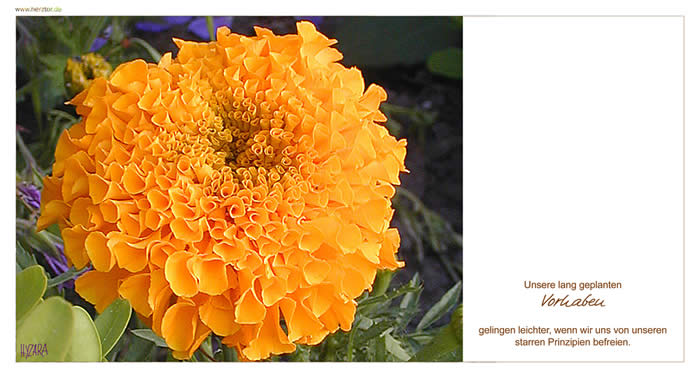 Unsere lang geplanten Vorhaben gelingen leichter, wenn wir uns von unseren starren Prinzipien befreien.