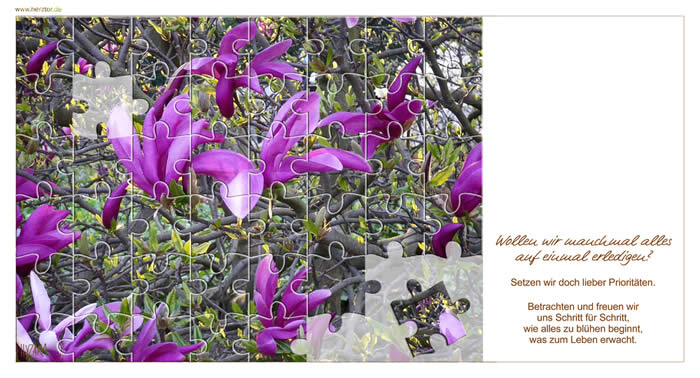 Prioritäten - Wollen wir manchmal alles auf einmal erledigen? Setzen wir doch lieber Prioritäten. Betrachten und freuen wir uns Schritt für Schritt, wie alles zu blühen beginnt, was zum Leben erwacht.