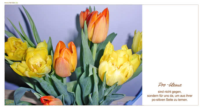 Probleme sind nicht gegen, sondern für uns da, um aus ihrer po-sitiven Seite zu lernen.