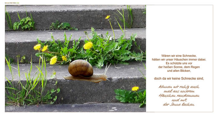 Schneckenhaus - Wären wir eine Schnecke, hätten wir unser Häuschen immer dabei. Es schützte uns vor der heißen Sonne, dem Regen und allen Blicken, doch da wir keine Schnecke sind, können wir ruhig auch mal aus unserem Häuschen rauskommen und mit der Sonne lachen