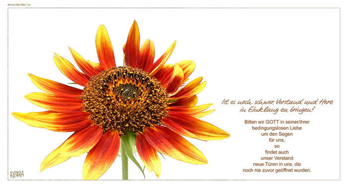 SEGEN - Ist es noch schwer, Verstand und Herz in Einklang zu bringen? Bitten wir GOTT in seiner/ihrer bedingungslosen Liebe um den Segen für uns, so findet auch unser Verstand neue Türen in uns, die noch nie zuvor geöffnet wurden.