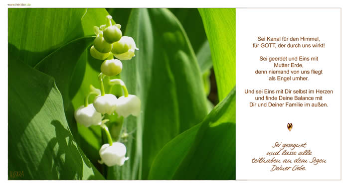 Segenswunsch - Sei Kanal für den Himmel, für GOTT, der durch uns wirkt! Sei geerdet und Eins mit Mutter Erde, denn niemand von uns fliegt als Engel umher. Und sei Eins mit Dir selbst im Herzen und finde Deine Balance mit Dir und Deiner Familie im außen. Sei gesegnet und lasse alle teilhaben an dem Segen Deiner Liebe