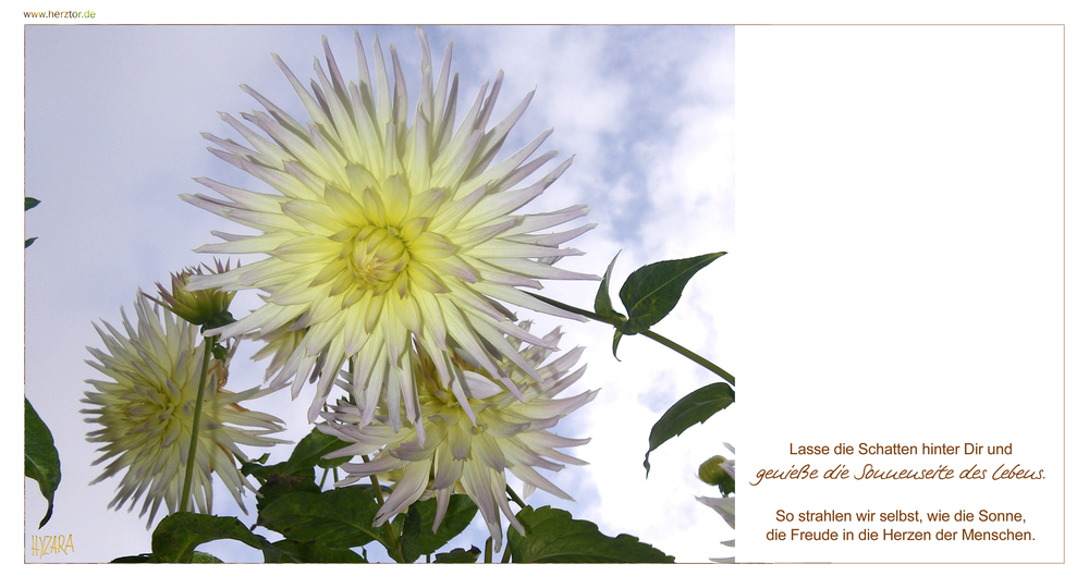 . Sonnenseite - Lasse die Schatten hinter Dir und genieße die Sonnenseite des Lebens. So strahlen wir selbst, wie die Sonne, die Freude in die Herzen der Menschen.